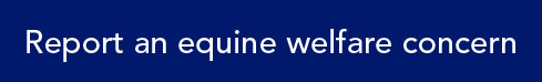 Report an equine welfare concern button